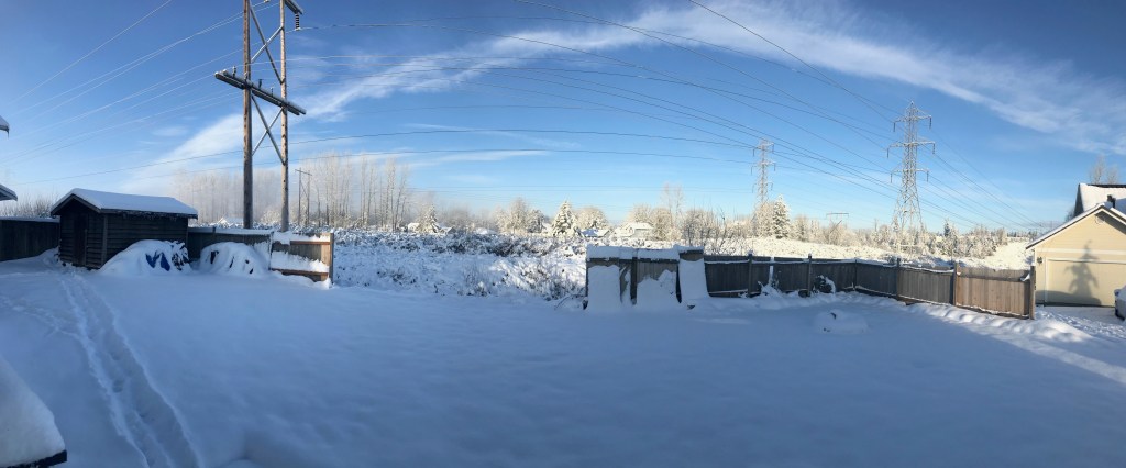 Seattle Snowmageddon 2019