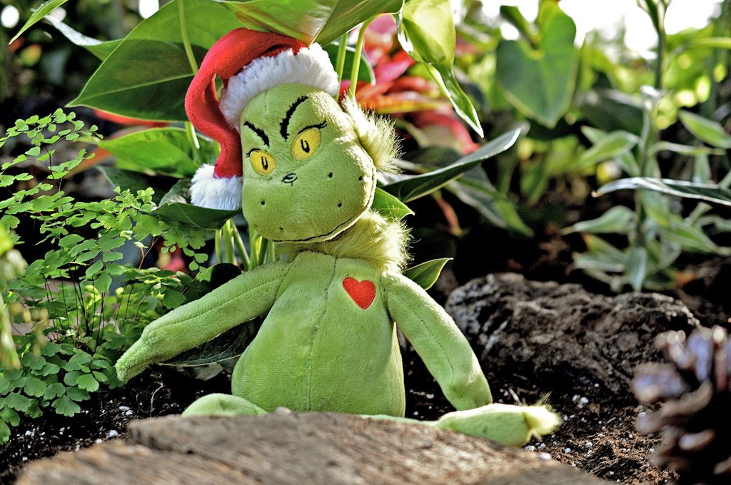 I’m Neither The Grinch or Santa&nbsp;Claus