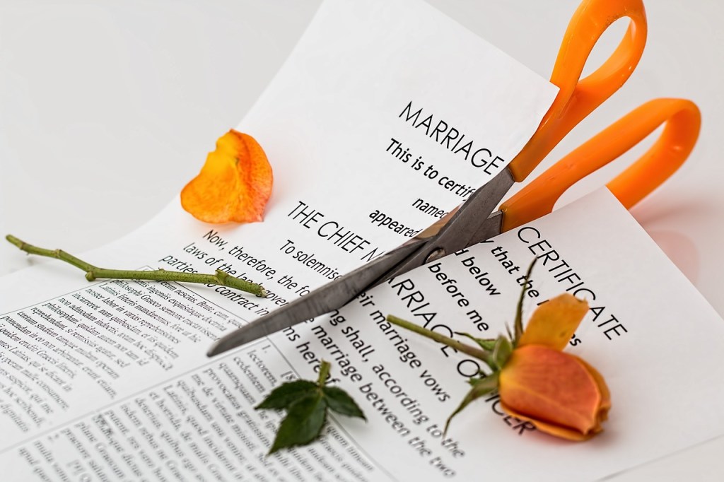 2008 A.D. (After Divorce) – What Do You&nbsp;Do?