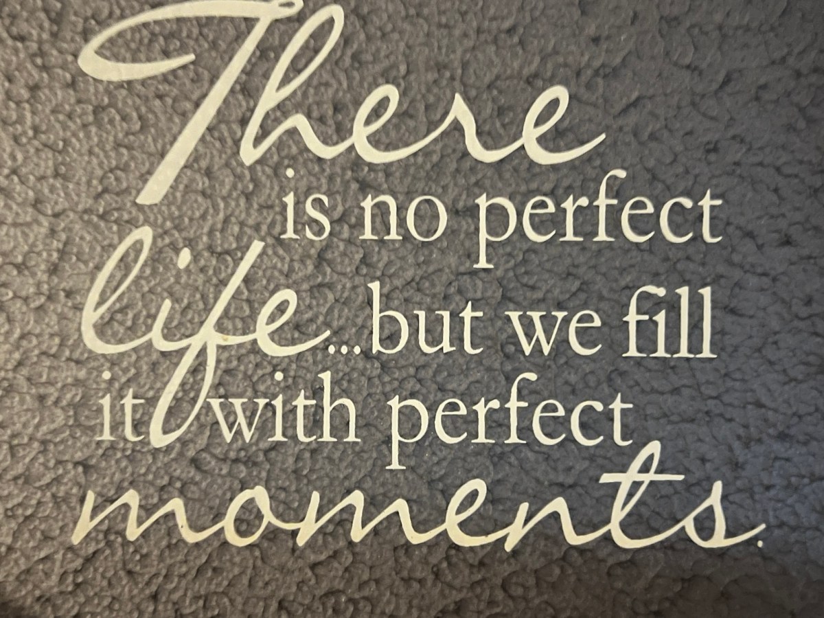 Nothing’s Perfect In This&nbsp;Life